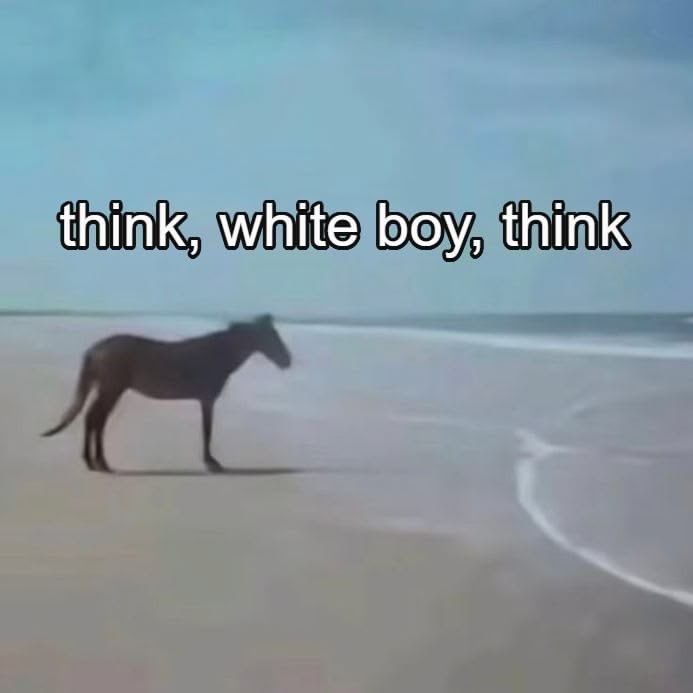 horse dentist tweet media