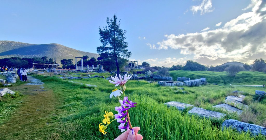 ふたば tweet media