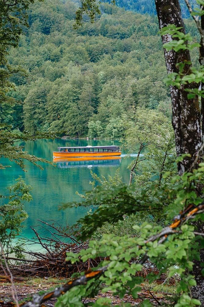 Judi Saunders tweet media