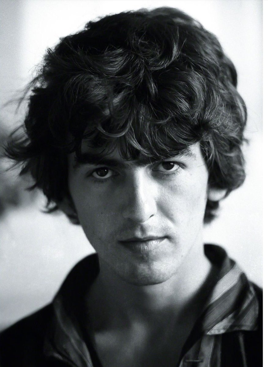 eli 🏞️ tweet media