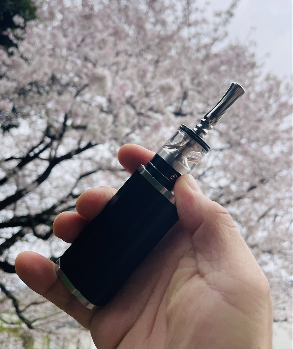 マイティ tweet media