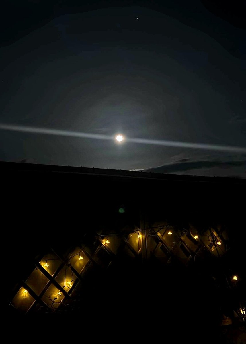 😺😽Maria😽😸 マリア tweet media