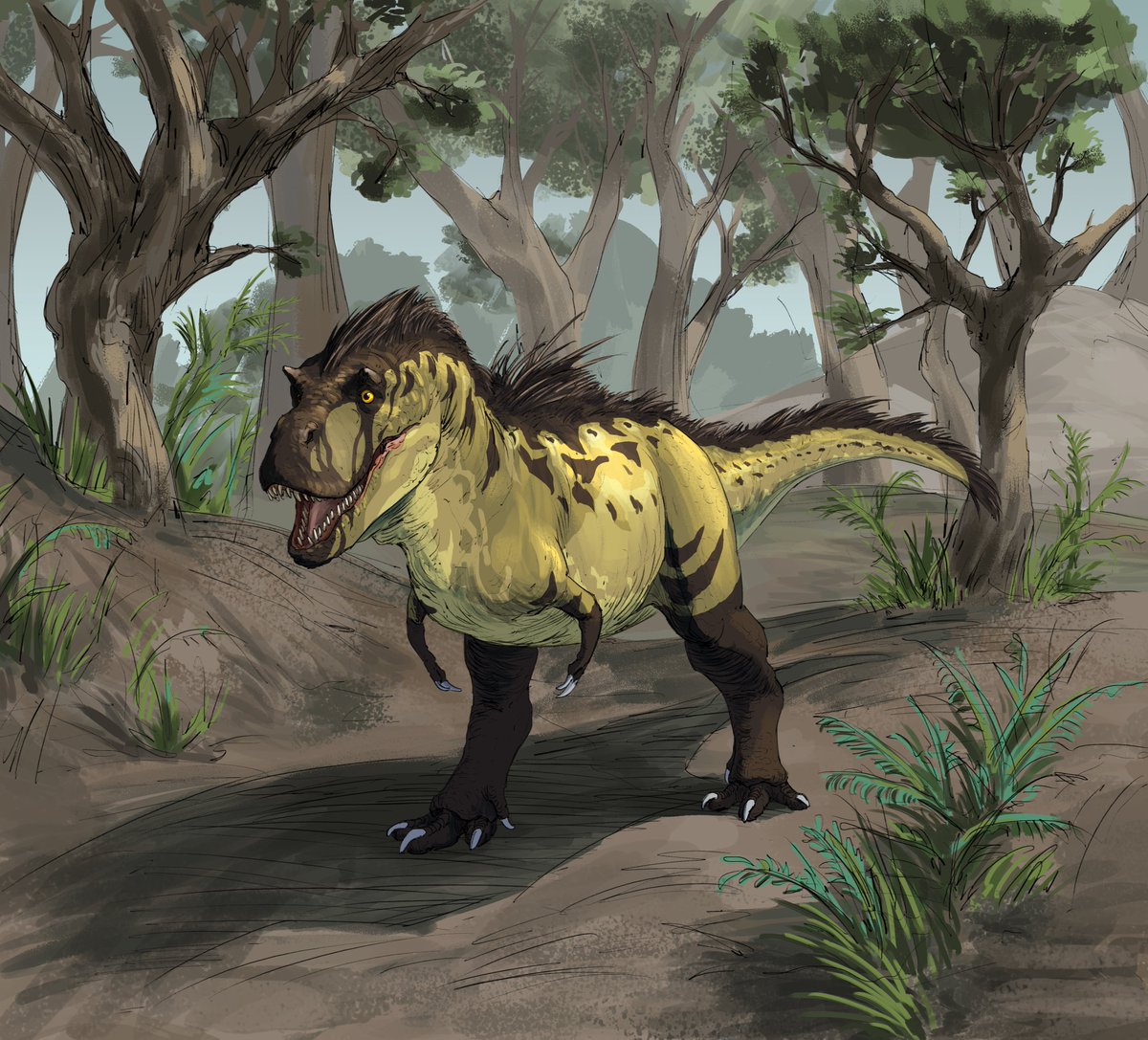 Giorgi G. tweet media