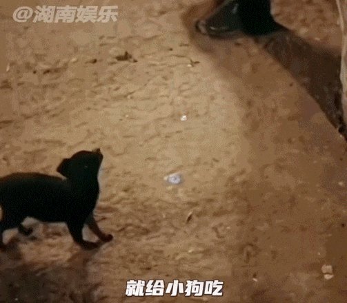 Irving Uriel Alonso tweet media