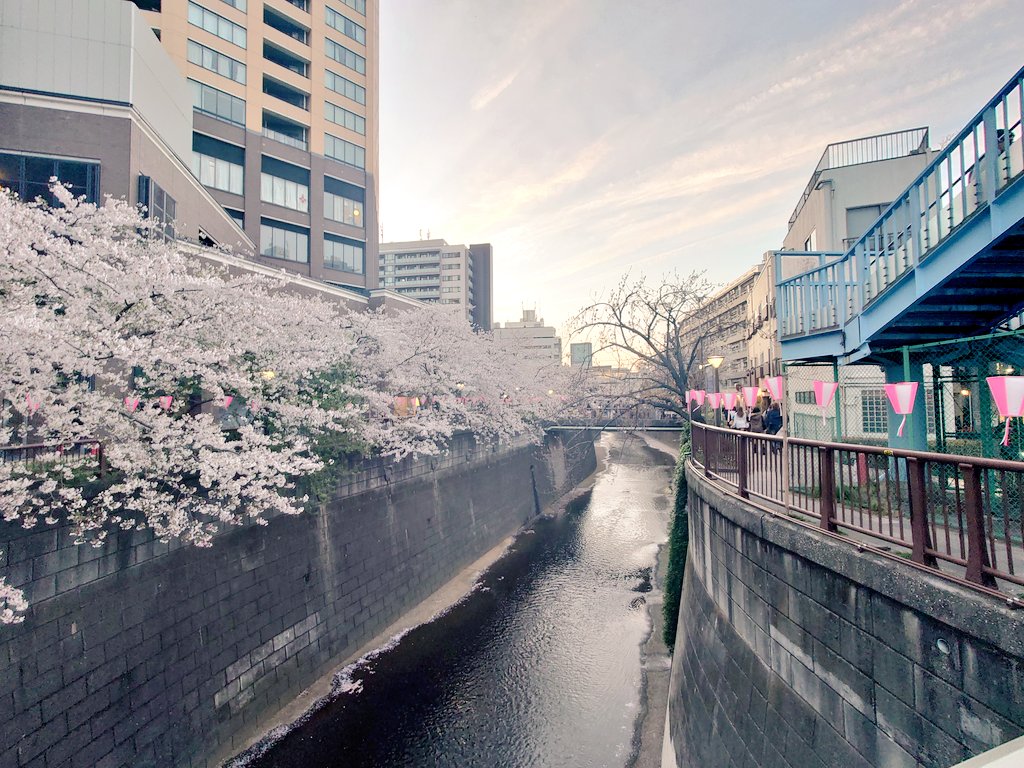 祭 竜之介🛵三旅する声優(目標) tweet media