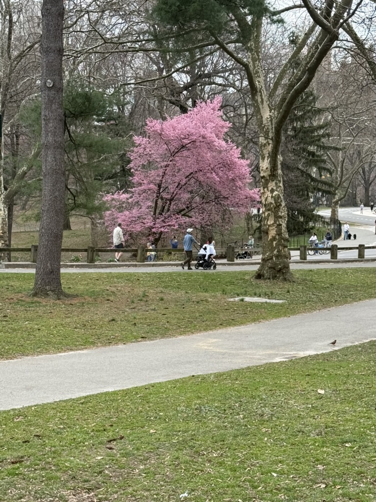 45WallSt tweet media