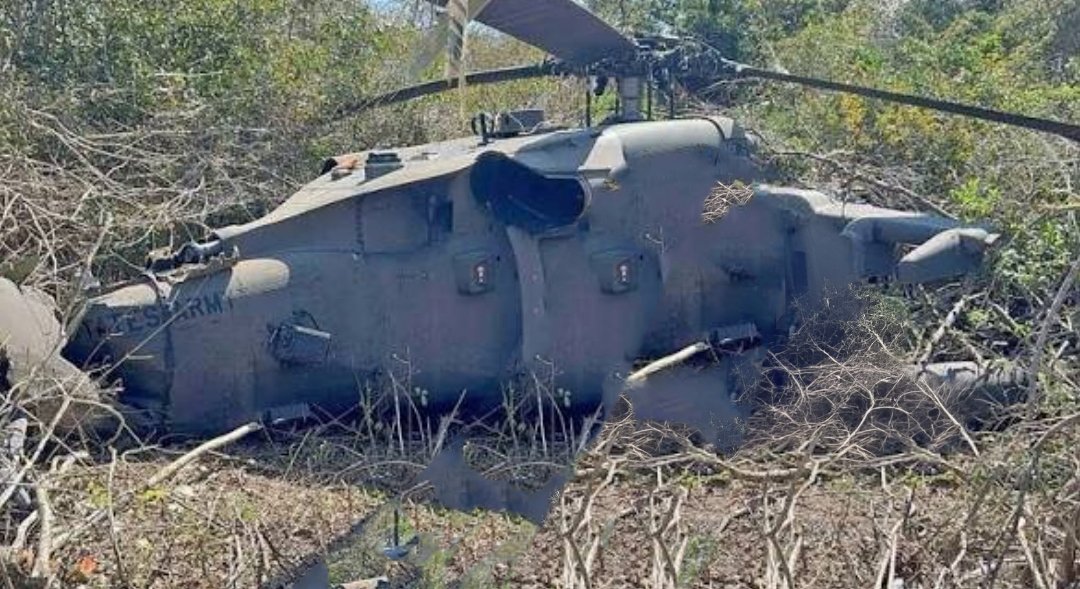 Erdal Yagci🦅🦅 tweet media