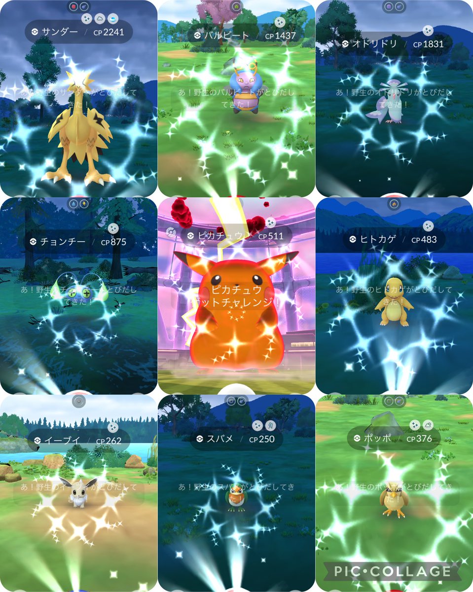 あらあら@低浮上 tweet media