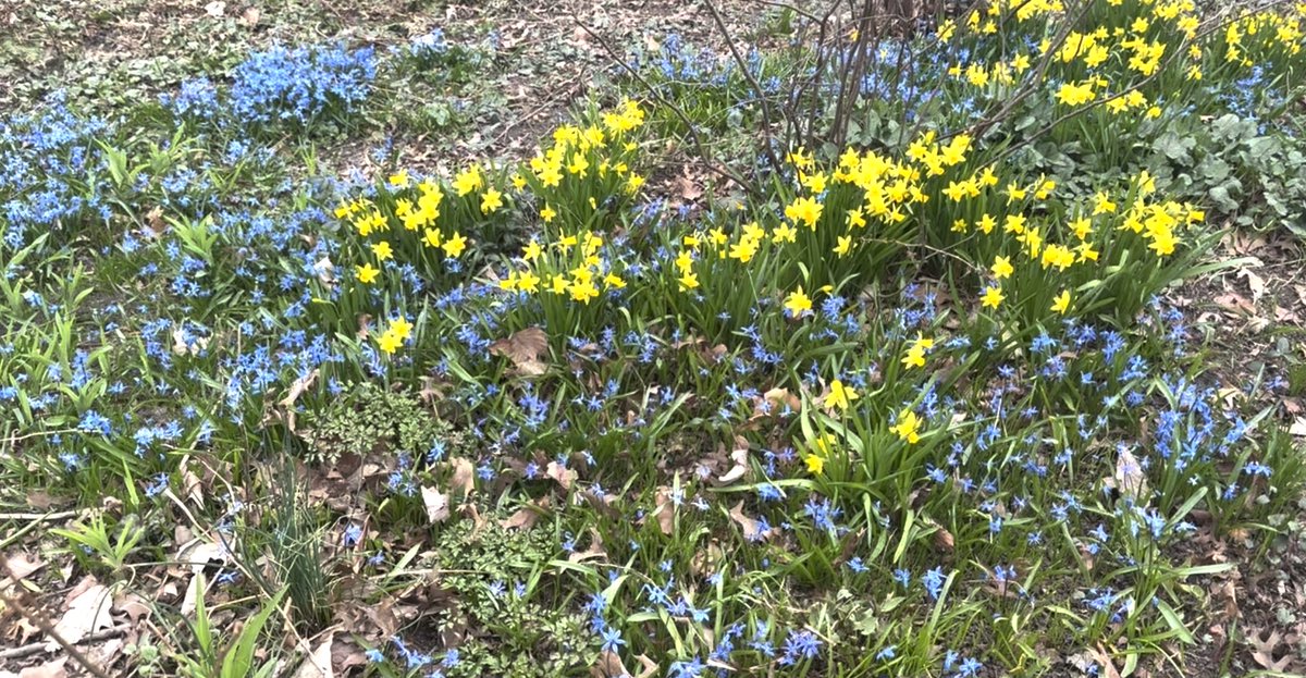 45WallSt tweet media