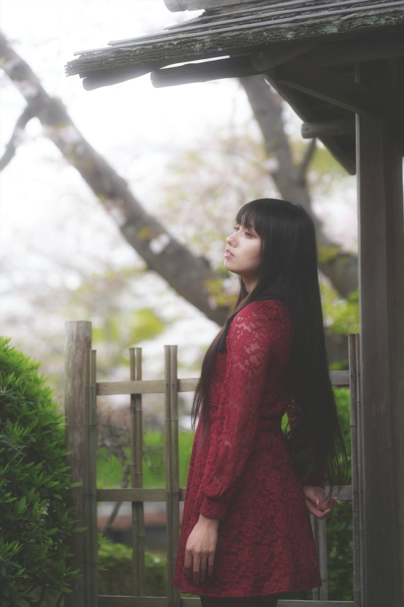 Shimachang tweet media