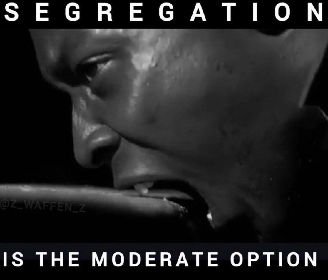 Stetson Young tweet media