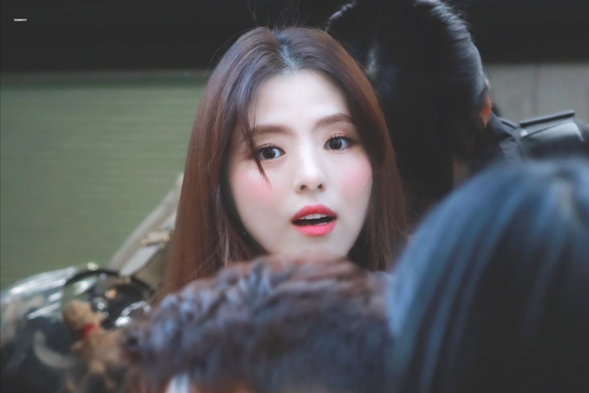 바다 🌊 tweet media