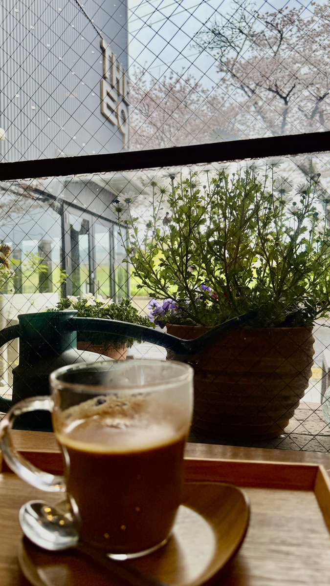 下地 尚子 Naoko Shimoji tweet media