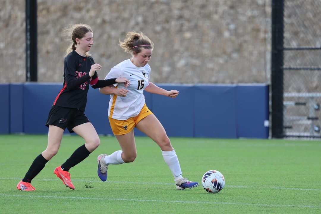 Danuser Photography tweet media