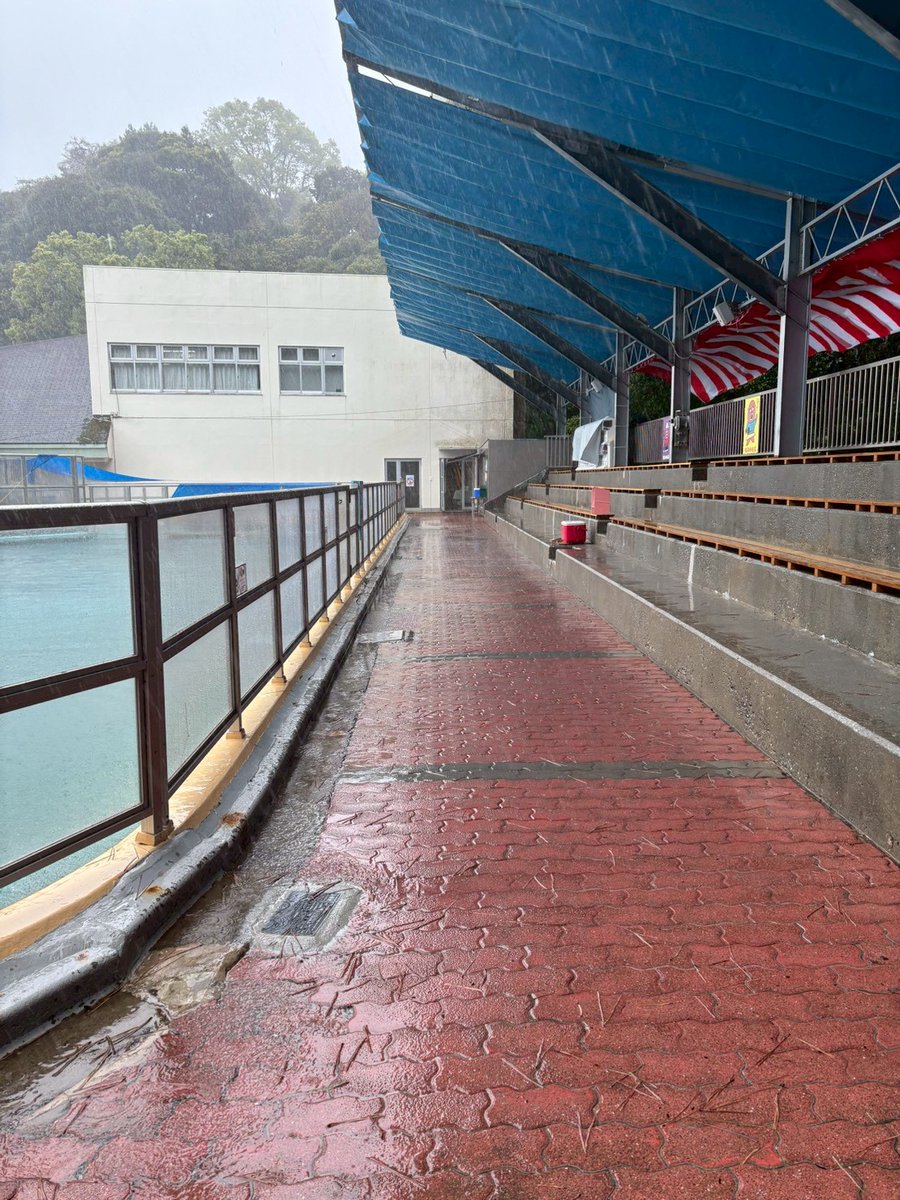 桂浜水族館 公式 tweet media