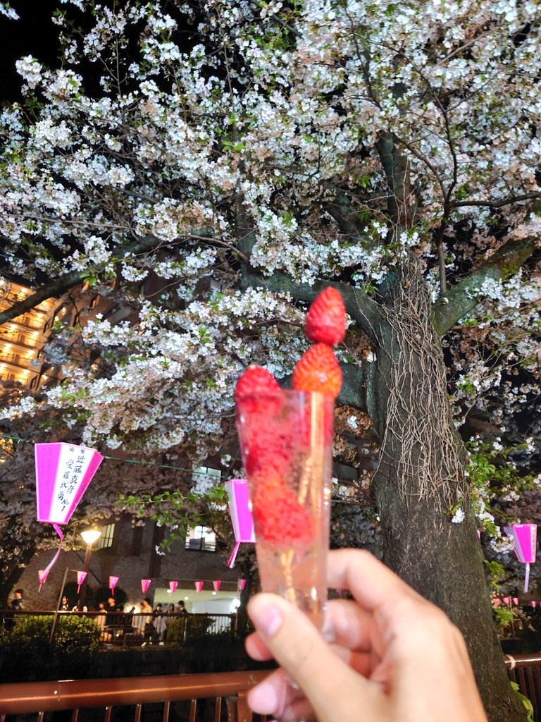 祭 竜之介🛵三旅する声優(目標) tweet media