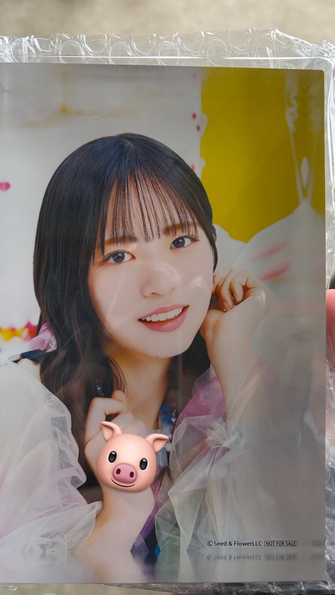 ひなこ tweet media