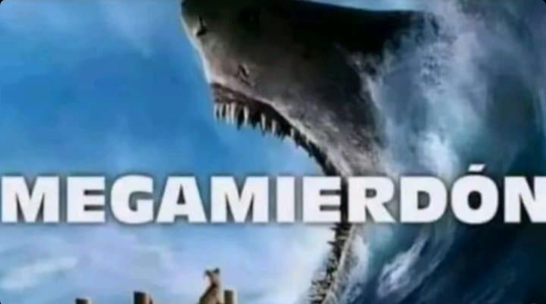 Angexander tweet media