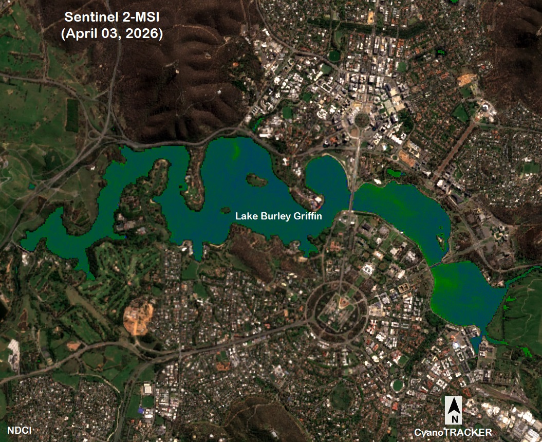 CyanoTracker's tweet photo. The recent Sentinel-2 NDCI map (April 3, 2026) reveals the ongoing cyanobacterial bloom sweeping across Lake Burley Griffin, Canberra. The Central Basin is now closed due to EXTREME blue-green algae levels. News: https://t.co/buRKKc2jZq https://t.co/306ZLU0cBB