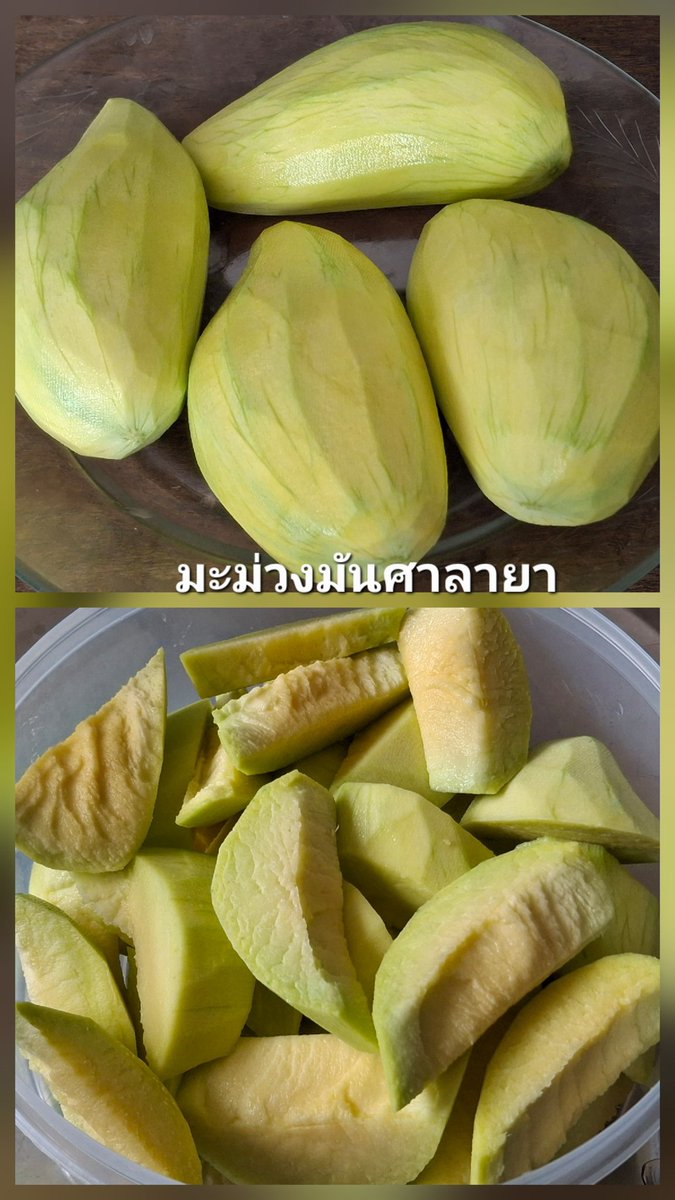OK03fp's tweet photo. วันเสาร์ ๔ เมษายน ๒๕๖๙.
4 APRIL 2026.
Time 10:35 Tst 
แวะซื้อมะม่วงมันศาลายา และ มะม่วงเขียวเสวย...ราคาดีงาม กิโลกรัมละ ๓๕ บาท, ลูกขนาดเล็กลงมา กิโลกรัมละ ๒๕ บาท.
คุณยายใจดี ขายที่สวน.
ล้างผิวมะม่วง ปอกเปลือก สับ และ ใส่กล่องปิดฝา แช่ตู้เย็น...กินชื่นใจ. https://t.co/x3X5mMPwZi