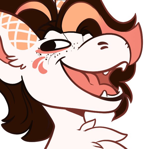 Shindekitty tweet media