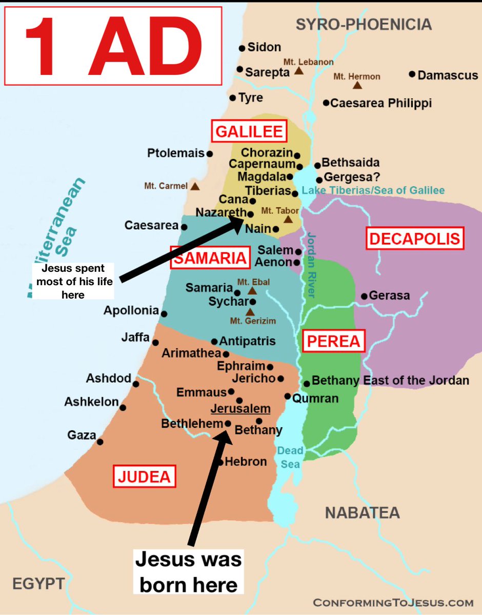 Evyn Ciampa🍁 tweet media