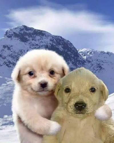 Cat Protano 🐳🧹 tweet media