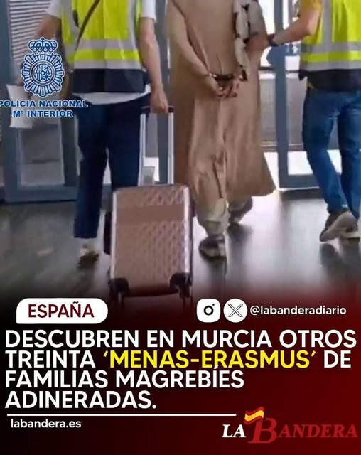 Uff los millones que estan ganando, con la mierda de los menas....Menudo negocio montado.