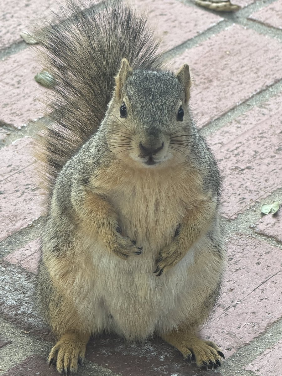 schuri 🐿️🍂 tweet media