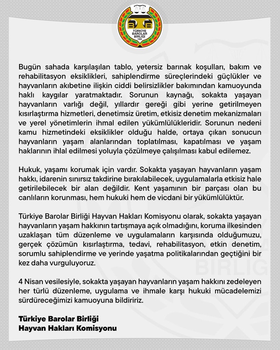 4 Nisan Dünya Sokak Hayvanları Günü

👉 barobirlik.org.tr/Haberler/86377