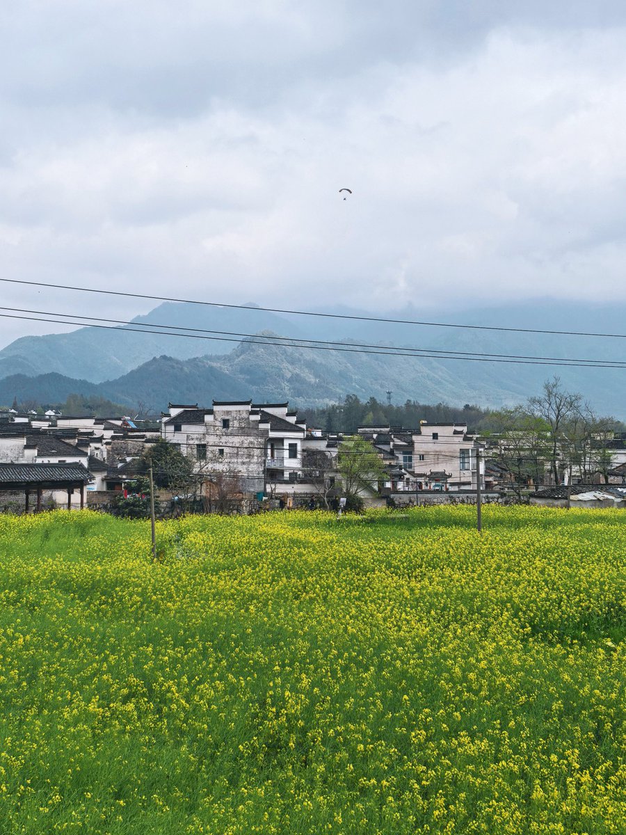 小明同学 tweet media