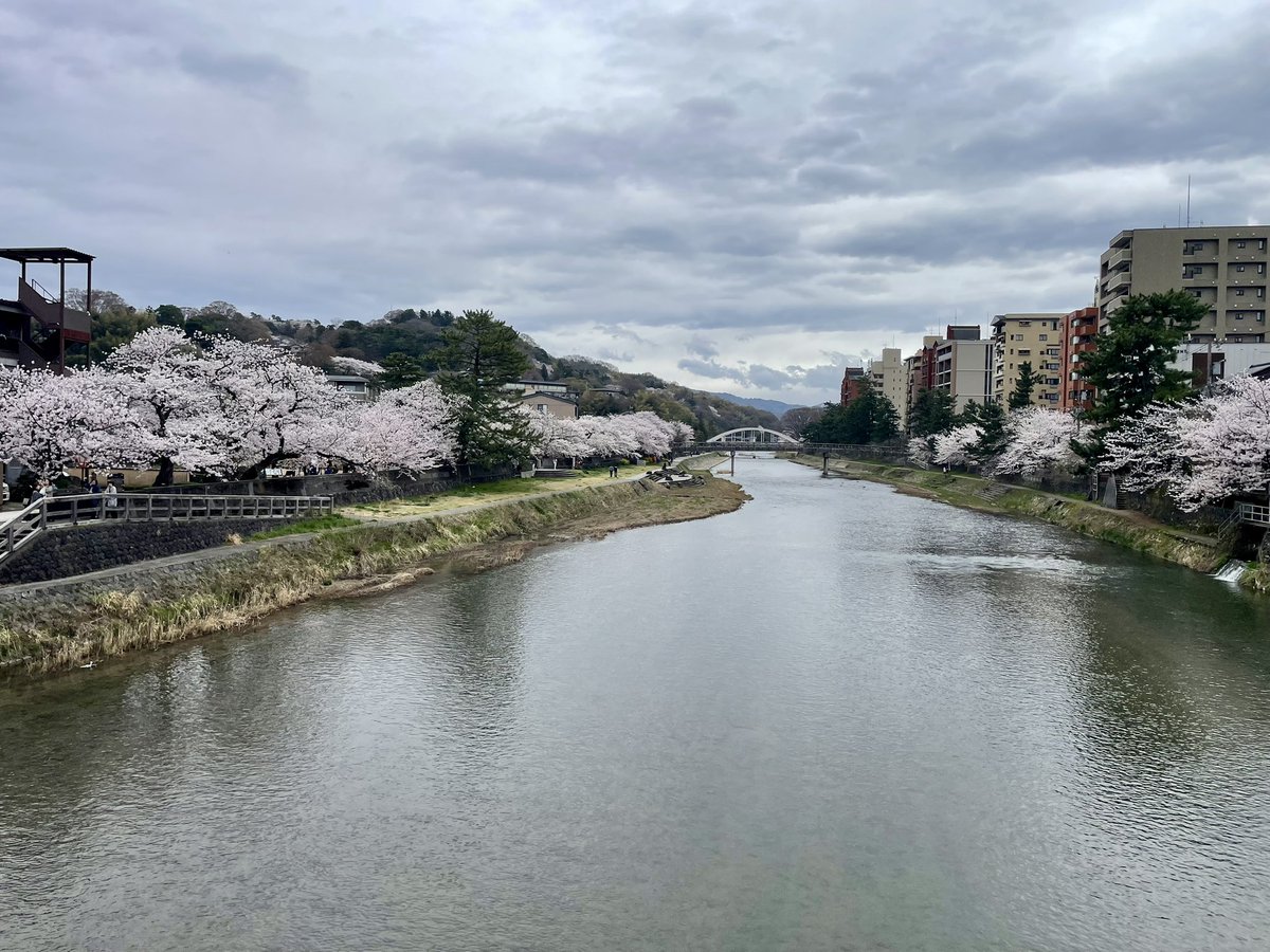 のどか tweet media