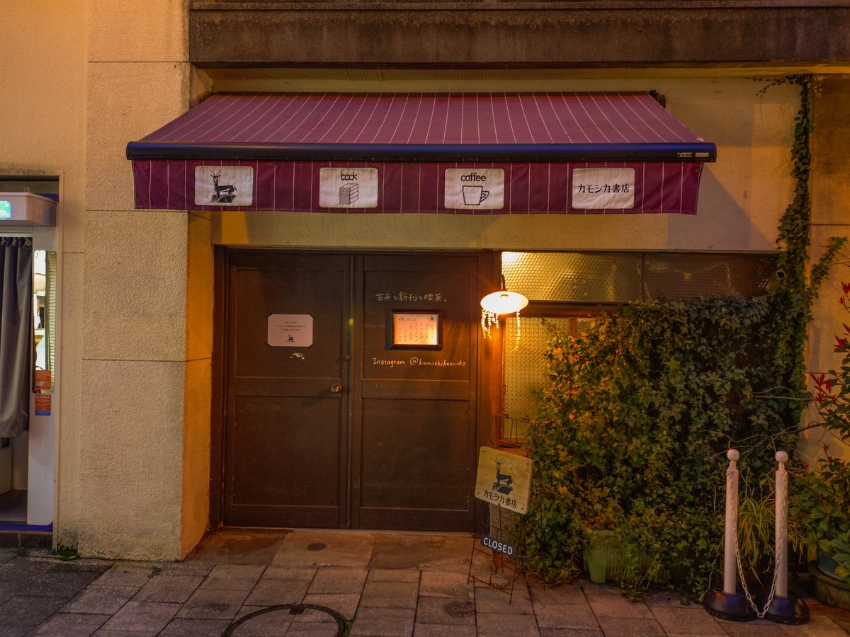 いのさん@4.4しだれ桜の里 tweet media