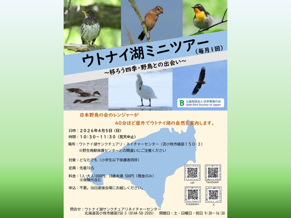 ウトナイ湖ネイチャーセンター tweet media