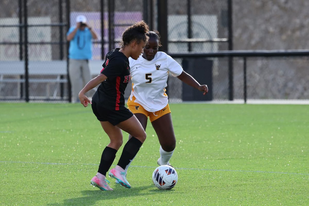 Danuser Photography tweet media