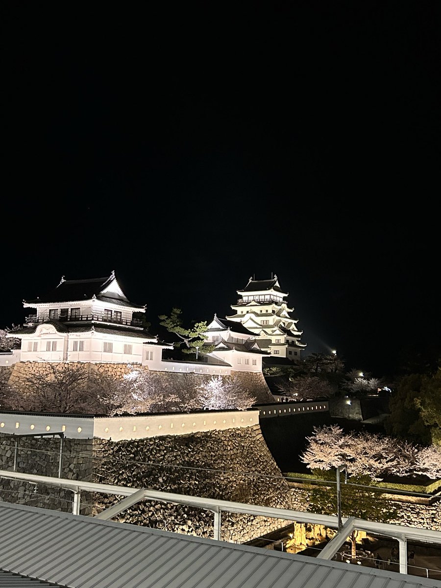 アカネ tweet media