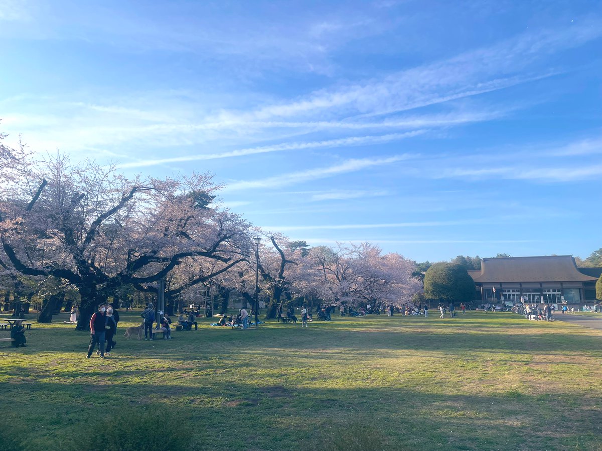 ふかひ tweet media