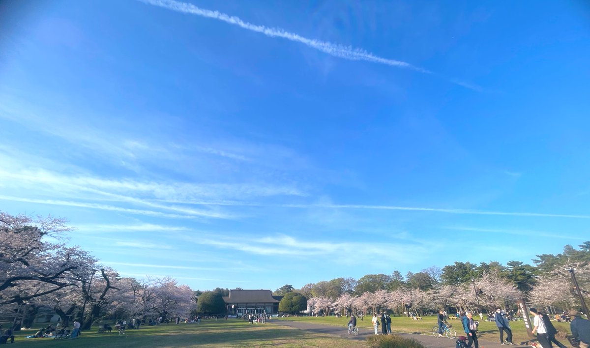 ふかひ tweet media