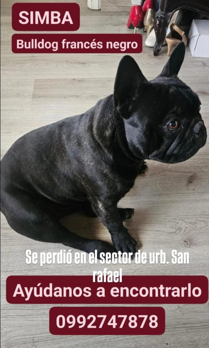 BitacoraAmbiental tweet media