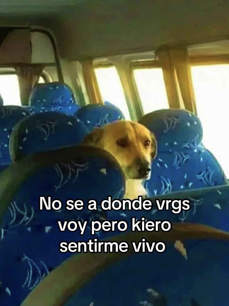 Mundo de Bigotes tweet media