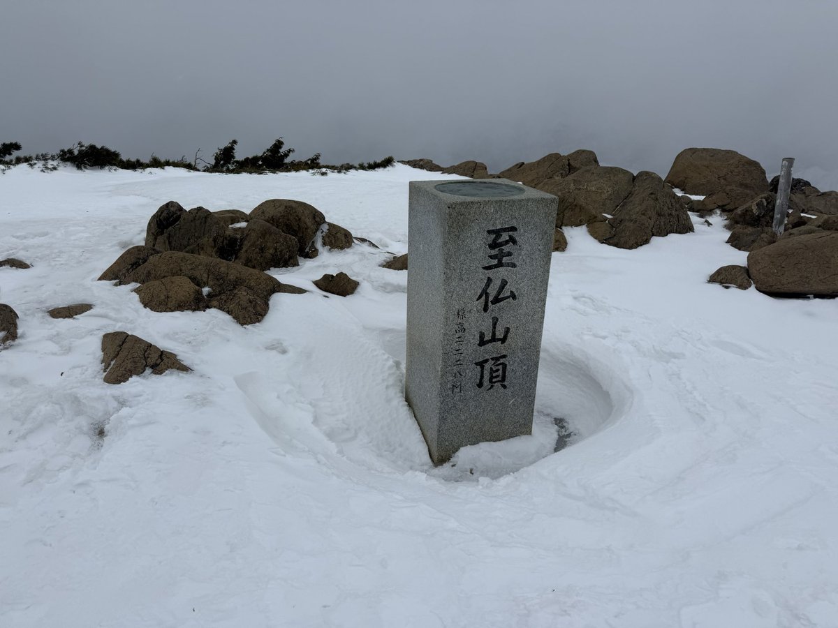 Nowloading....Rollie tweet media