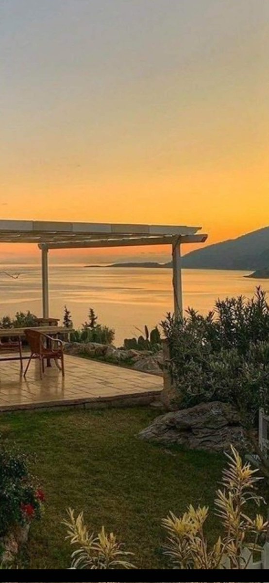 𝙽𝚎𝚌𝚍𝚒𝚢𝚎 𝙸𝚕𝚢𝚊𝚜 ༺ tweet media