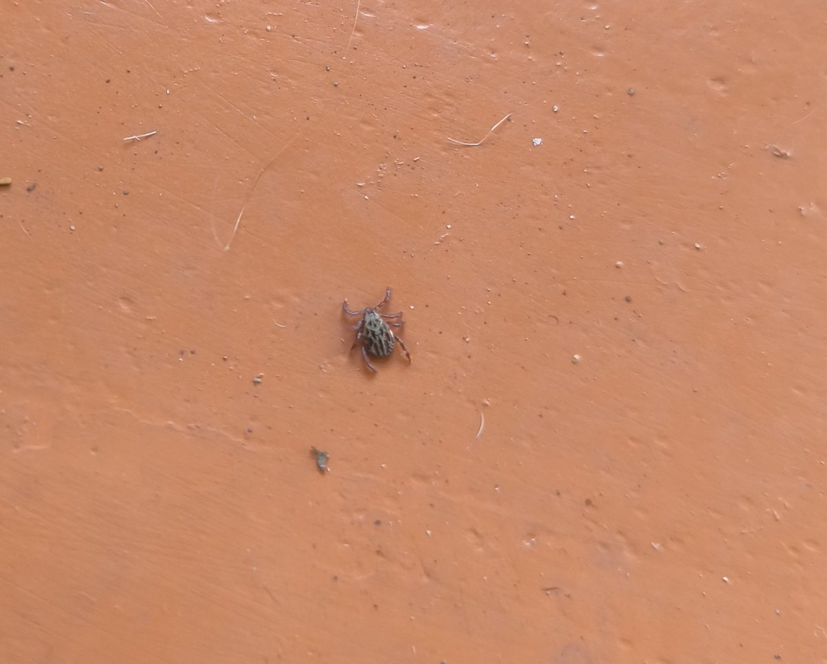 LUCY_LUCY tweet media