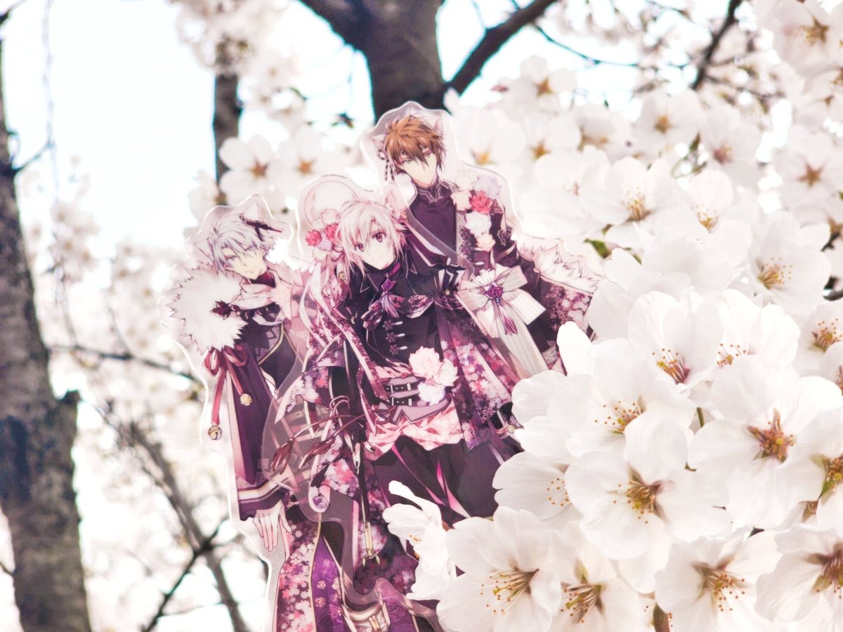 🩶향🩷香💙𝓣𝓡𝓘𝓖𝓖𝓔𝓡 𝓝𝓞.𝟏 tweet media