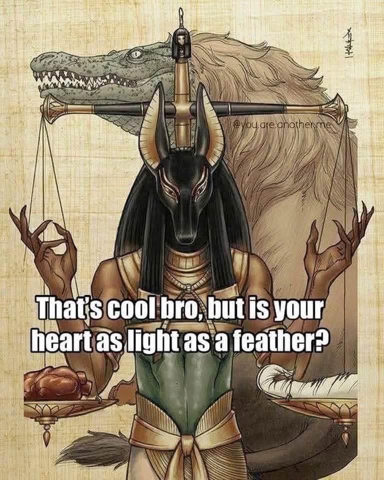 Alien Perspective tweet media