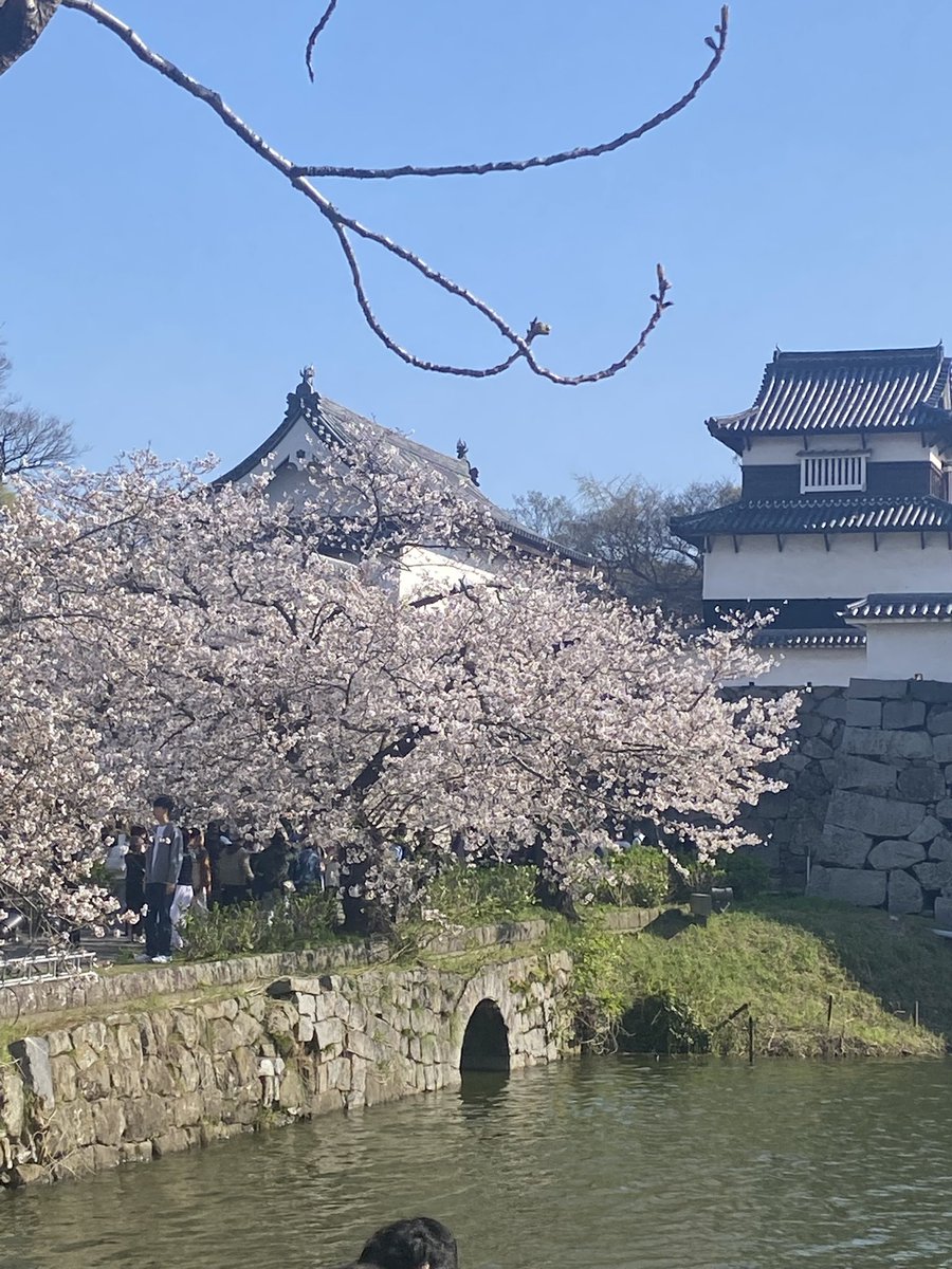 gavinlee999(ガヴィン) tweet media