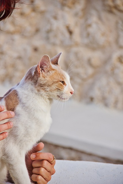 Raquel Szymanski tweet media