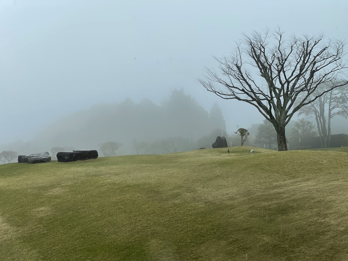 Ben March tweet media