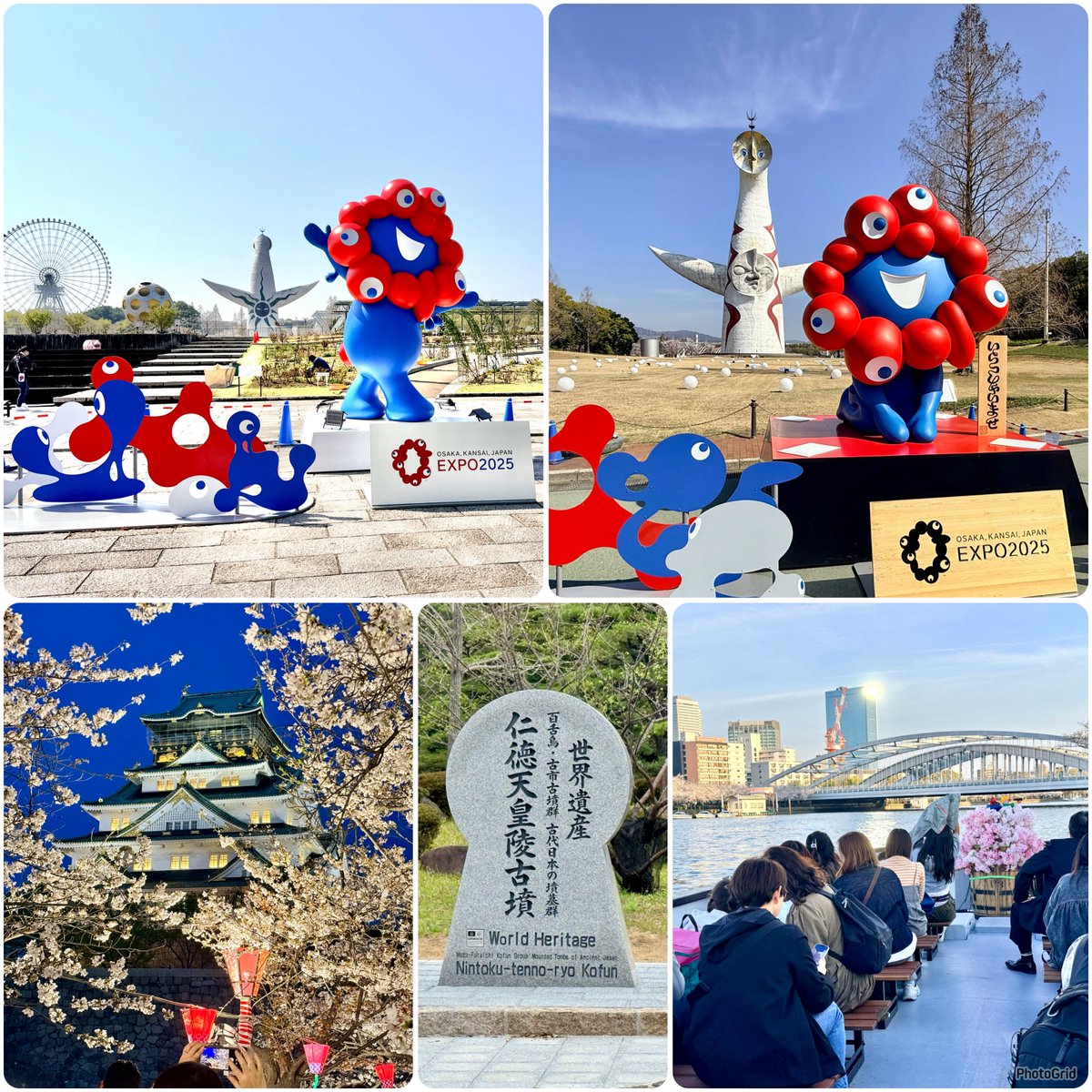 のぶりん★彡 tweet media