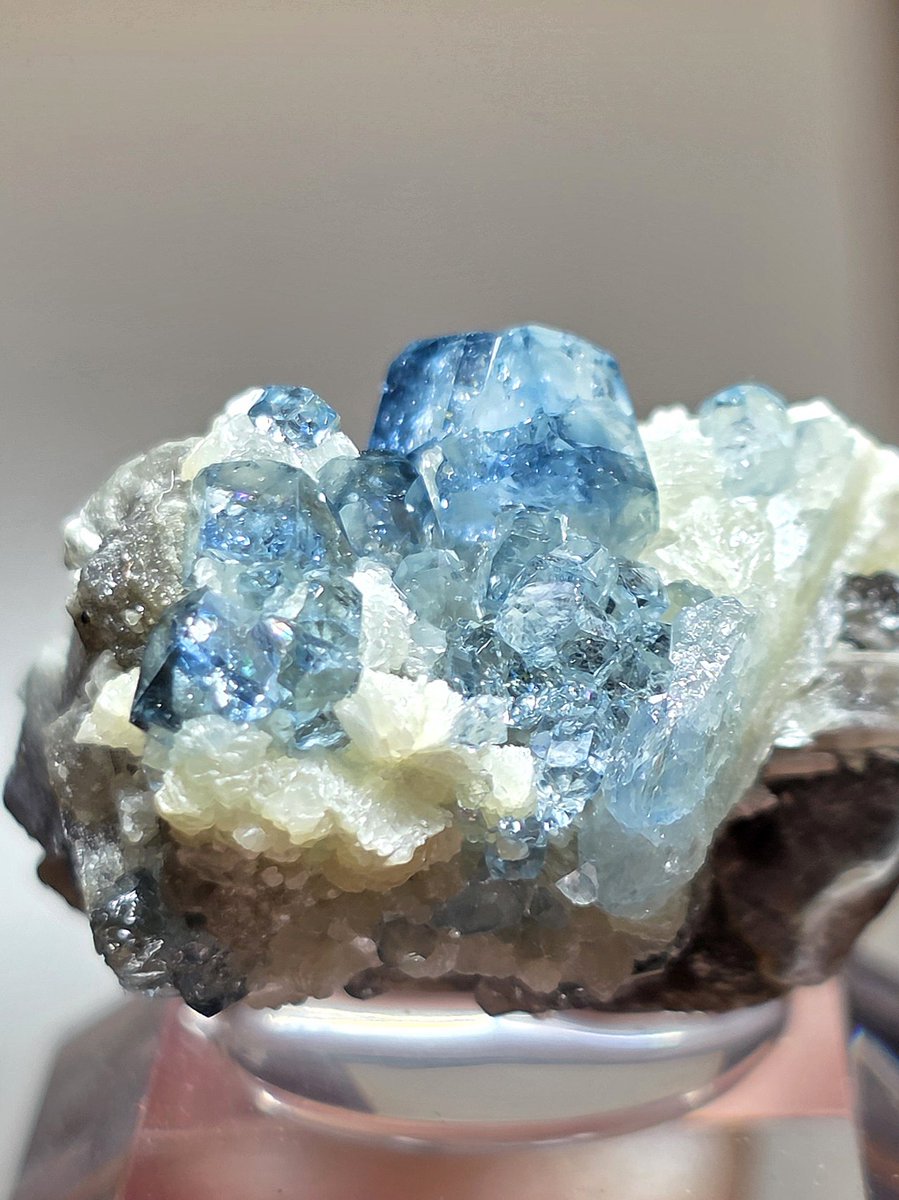 クロネコ tweet media